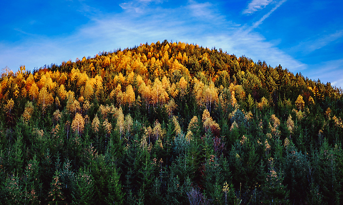 포토 JPG 해외이미지 전통 유럽 여행 백그라운드 자연 하늘 산 주택 사람없음 야외 건물 목재 파란색 농가 농장 마을 계곡 수확 시골 소나무 정상 숲 오두막 언덕 그림 시골집 루마니아 샬레 옛날 해외포토 나무 건축물 나라 컬러 농업 재료 실험기구 생태계 파일형식 이미지허브