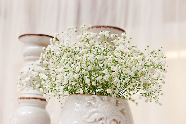 포토 JPG 해외이미지 접시 디자인 꽃 가구 탁자 실내 사람없음 내부 장식 희망 고급 닫기 오브젝트 접수 스타일 해외포토 식물 식기 감정 생활용품 컨셉 모션 파일형식 이미지허브