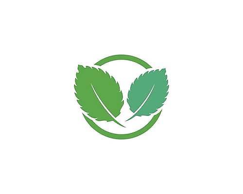 EPS 해외이미지 나무 식물 디자인 실루엣 선 음식 백그라운드 잎 채소 일러스트 자연 추상 건강 초록색 여름 파란색 세트 농장 새싹 정원 재활용 흰색 나뭇가지 신선 차 민트 허브 심볼 사인 에코 유기농 조경 연료 향 내추럴 골프티 고립 바이오 엘리먼트 채식주의자 비건 스피아민트 해외일러스트 웰빙 계절 음료 컬러 무늬 농업 골프용품 촬영기법 환경 친환경 생태계 채식 파일형식 벡터 산업 스포츠용품 골프 스포츠 구기 오브젝트 이미지허브