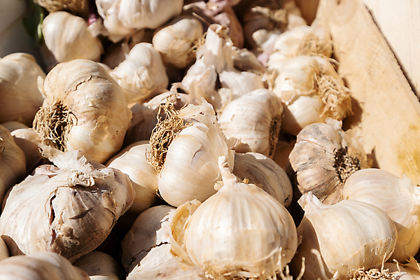 포토 JPG 해외이미지 식물 잡화 음식 백그라운드 농업 다이어트 채소 재료 전구 자연 건강 마늘 요리 사람없음 수확 흰색 신선 양념 조미료 시장 맛 향신료 유기농 매움 날것 내추럴 숙성 채식주의자 해외포토 웰빙 산업 컬러 컨셉 생태계 채식 향미료 파일형식 이미지허브