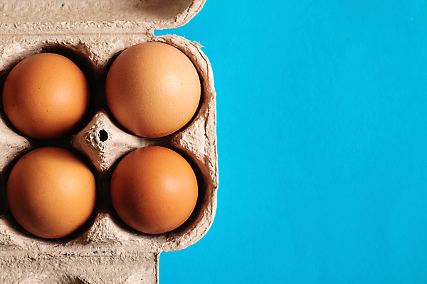 포토 JPG 해외이미지 실내 사람없음 하이앵글 계란 파란배경 계란판 카피스페이스 해외포토 뷰포인트 백그라운드 내부 파란색 알 공백 파일형식 이미지허브
