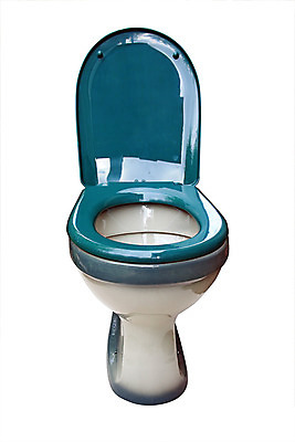 포토 JPG 해외이미지 식물 동물 컨셉 패턴 의자 가정 휴식 주택 아이디어 실내 사람 사람없음 내부 치료 물 장비 욕실 뚜껑 흰색 오픈 사발 우아함 위생 컨테이너 청소 오브젝트 화장실 싱글 멀리 일반 고립 변기통 위생관리 폐수 해외포토 자연요소 산업 컬러 가구 무늬 의학 관리 건물 사기그릇 환경오염 파일형식 이미지허브