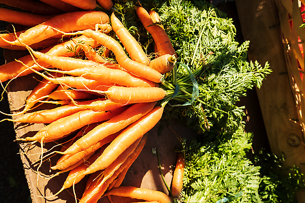 포토 JPG 해외이미지 잡화 음식 농업 다이어트 채소 오렌지 재료 자연 건강 서기 사람없음 빨간색 초록색 컬러풀 농장 세일 상점 정원 당근 샐러드 수확 신선 시장 다발 유기농 날것 뿌리 비타민 슈퍼마켓 내추럴 바이오 채식주의자 비건 해외포토 웰빙 산업 컬러 과일 모션 뿌리채소 생태계 채식 영양소 파일형식 이미지허브