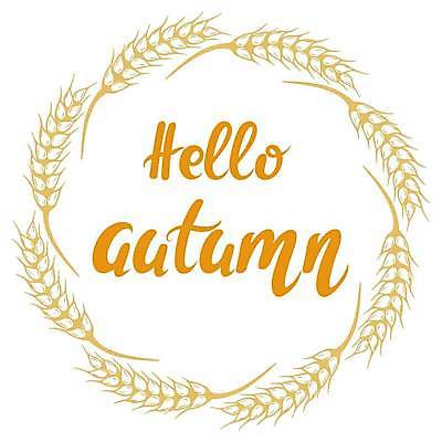 EPS 해외이미지 식물 손 배너 음식 백그라운드 컨셉 농업 일러스트 자연 프레임 건조 맥주 씨앗 그래픽 농장 화환 수확 인사 원형 낟알 스케치 시리얼 밀 유기농 엽서 보리 귀 내추럴 고립 숙성 호밀 레터링 현실 해외일러스트 도형 웰빙 꽃 산업 곡류 주류 미술 신체부위 예절 편지 생태계 파일형식 벡터 이미지허브