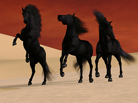 포토 JPG 해외이미지 동물 일러스트 포유류 생물 종류 풍경 사람없음 3D 가축 일몰 사막 군중 그림 조랑말 망아지 기르기 해외일러스트 새끼 사람 노을 말_동물 디지털합성 돌봄 파일형식 이미지허브