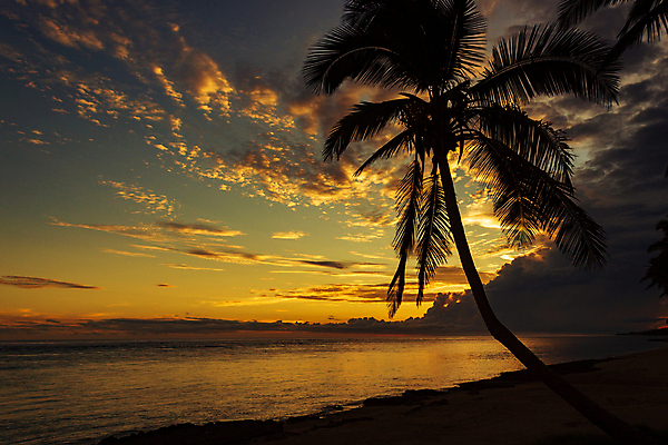 포토 JPG 해외이미지 나무 실루엣 바다 분홍색 섬 여행 오렌지 자연 하늘 아침 휴가 손바닥 사람 풍경 사람없음 비키니 컬러풀 여행객 평화 일출 기댐 일몰 새벽 산책 만 오세아니아 휴양지 눈금 태평양 코코넛 파라다이스 해외포토 주간 자연요소 식물 손 수영복 나라 컬러 컨셉 과일 모션 휴식 촬영기법 노을 장소 생태계 파일형식 이미지허브