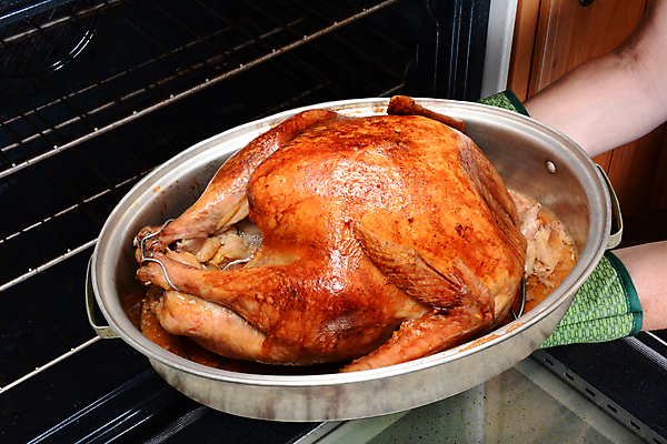 포토 JPG 해외이미지 전통 음식 엄마 관리 요리 사람없음 주방 식사 신선 잡기 아내 뜨거움 황금 닫기 오븐 굽기 준비 주부 잔치 추수감사절 칠면조 핸드메이드 해외포토 기독교 가족 모션 조류 가전제품 구이 파일형식 이미지허브