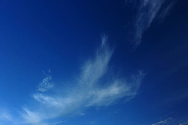 포토 JPG 해외이미지 계절 실루엣 모래 파도 바다 분홍색 섬 여행 자연 벽지 하늘 아침 휴가 휴식 사람없음 목재 빨간색 초록색 물 빛 햇빛 태양 여행객 일출 맑음 일몰 새벽 꿈 나뭇가지 저녁 큼 내추럴 이국적 파라다이스 수평선 해외포토 주간 자연요소 나무 컬러 컨셉 재료 날씨 촬영기법 사람 노을 야간 크기 생태계 파일형식 이미지허브
