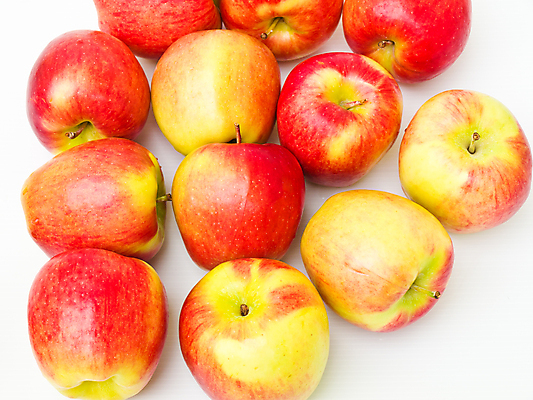 포토 JPG 해외이미지 과일 실내 사람없음 여러개 사과 흰배경 해외포토 다수 백그라운드 내부 흰색 파일형식 이미지허브