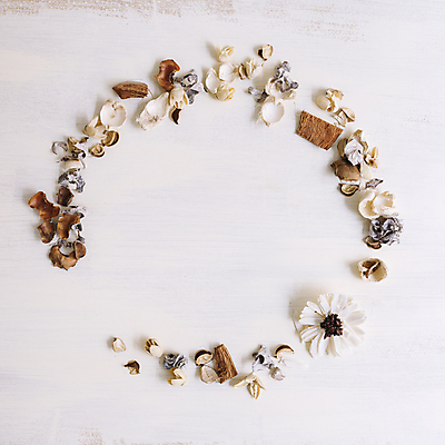 포토 JPG 해외이미지 꽃잎 꽃 실내 사람없음 하이앵글 원형 흰배경 꽃프레임 드라이플라워 카피스페이스 해외포토 도형 식물 뷰포인트 백그라운드 프레임 내부 공백 흰색 파일형식 이미지허브