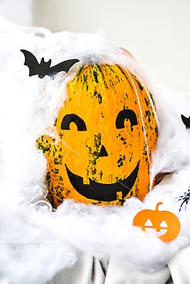 포토 JPG 해외이미지 호박 사람없음 할로윈 솜 오브젝트 박쥐 잭오랜턴 해외포토 채소 포유류 파일형식 이미지허브