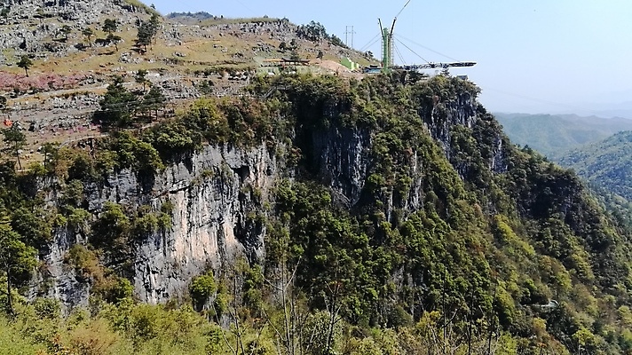 포토 JPG 해외이미지 식물 꽃 잎 꽃무늬 봄꽃 자연 사람없음 야외 빨간색 초록색 컬러풀 장미 보케 향 해외포토 컬러 무늬 봄 생태계 파일형식 이미지허브
