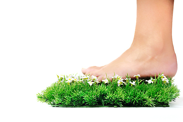 포토 JPG 해외이미지 여자 꽃 신체 부분 손가락 발 자연 휴가 휴식 건강 사람없음 치료 초록색 뷰티 스파 봄 자유 벚꽃 흰색 신선 못 날씬함 피부 만족 데이지 부드러움 발가락 내추럴 벌거벗은 양발 오아시스 페디큐어 안락 해외포토 식물 손 계절 감정 컬러 컨셉 의학 사람 신체부위 공구 감각 몸매 생태계 파일형식 이미지허브