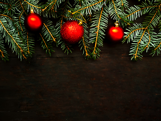 포토 JPG 해외이미지 나무 계절 행복 백그라운드 크리스마스 휴가 사람없음 장식 우주 어둠 장식볼 나뭇가지 시골 축하 정상 연도 질감 전나무 카피스페이스 해외포토 식물 기념일 감정 컨셉 공백 파일형식 이미지허브