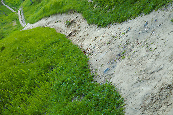 포토 JPG 해외이미지 공원 길 밭 곡선 자연 숙이기 잔디 사람없음 옆모습 초록색 평화 정원 산책 시골 오솔길 땅 회전 조경 방법 해외포토 식물 공공시설 선 뷰포인트 컬러 포즈 컨셉 농업 휴식 생태계 파일형식 이미지허브