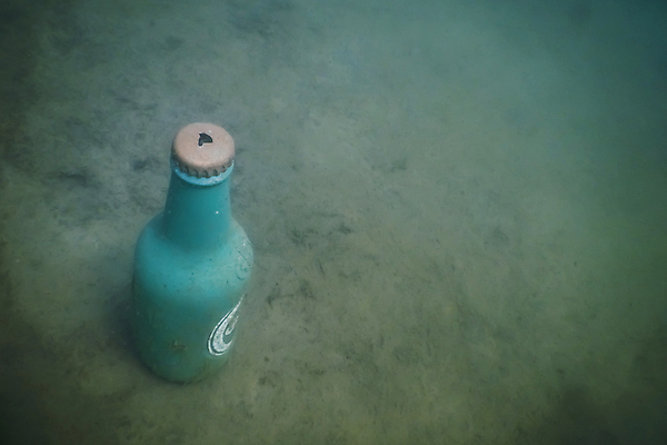 포토 JPG 해외이미지 계절 호수 야생동물 스포츠 파도 자연 휴가 휴식 건강 어류 취미 사람없음 물 여름 파란색 컬러풀 뷰티 환경 수중 수영 꿈 스노클링 오염 잠수부 다이빙 잉어 산소 깊이 동물상 민물 해외포토 자연요소 동물 바다 컬러 컨셉 조형물 수중동물 수상스포츠 원소 전문직 생태계 수중스포츠 파일형식 이미지허브