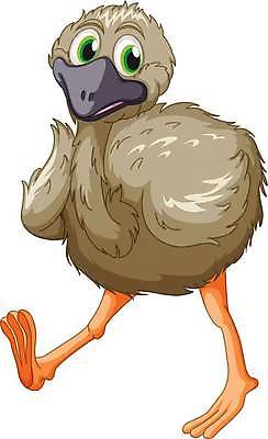 EPS 해외이미지 한마리 일러스트 사람없음 귀여움 새캐릭터 타조 화식조 해외일러스트 1 동물캐릭터 컨셉 조류 파일형식 벡터 이미지허브