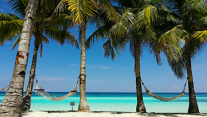 포토 JPG 해외이미지 나무 아시아 모래 바다 섬 여행 자연 휴가 휴식 손바닥 풍경 사람없음 야외 물 여름 파란색 모래사장 맑음 침묵 전원 만 휴양지 장면 해먹 석호 이국적 터키석 해외포토 자연요소 식물 손 계절 나라 컬러 컨셉 날씨 소리 장소 침대 전기에너지 보석 생태계 파일형식 이미지허브