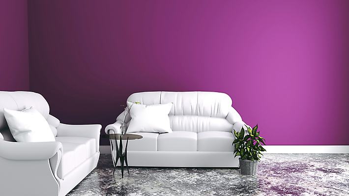 포토 JPG 해외이미지 식물 화분 쿠션 탁자 실내 사람없음 인테리어 소파 3D 보라색 미니멀 해외포토 디자인 컬러 가구 의자 내부 디지털합성 파일형식 이미지허브