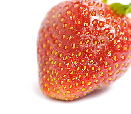 포토 JPG 해외이미지 열매 음식 컨셉 다이어트 과일 자연 딸기 디저트 건강 사람없음 빨간색 초록색 흰색 신선 달콤 맛 고립 숙성 맛있는 해외포토 식물 컬러 생태계 파일형식 이미지허브