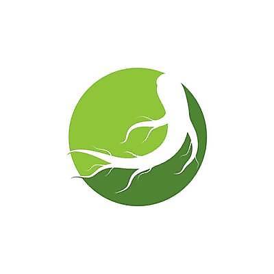 EPS 해외이미지 식물 디자인 실루엣 음식 잎 일러스트 자연 추상 건강 약 에너지 수확 약재 허브 심볼 사인 유기농 뿌리 내추럴 고립 해외일러스트 웰빙 무늬 농업 의학 촬영기법 생태계 파일형식 벡터 이미지허브