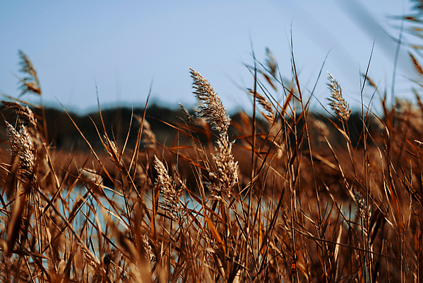 포토 JPG 해외이미지 주간 호수 사람없음 야외 햇빛 태양 맑음 연못 소프트포커스 해외포토 자연요소 날씨 촬영기법 파일형식 이미지허브
