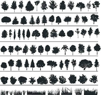 EPS 해외이미지 나무 식물 계절 공원 실루엣 줄기 단풍 잎 겨울 농업 일러스트 자연 날씨 왕관 손바닥 목재 정원 검은색 성장 나뭇가지 소나무 숲 땅 문신 싱글 그림 원예 조경 윤곽 전나무 자작나무 고립 미루나무 엘리먼트 옛날 자취 혼자 해외일러스트 손 공공시설 산업 컬러 재료 촬영기법 취미 생태계 파일형식 벡터 이미지허브