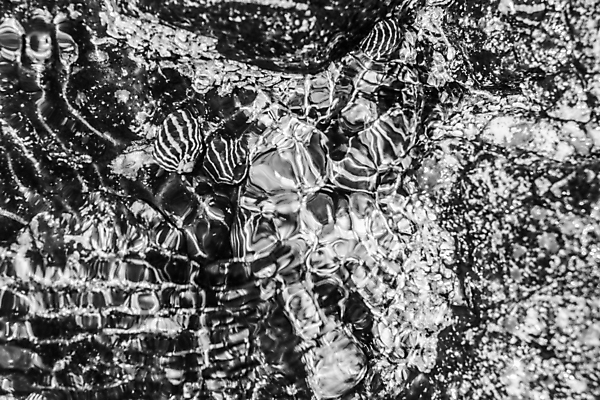 포토 JPG 해외이미지 백그라운드 추상 미술 사람없음 야외 물 검은색 흰색 호주 질감 해외포토 자연요소 컬러 무늬 문화예술 오세아니아 파일형식 이미지허브