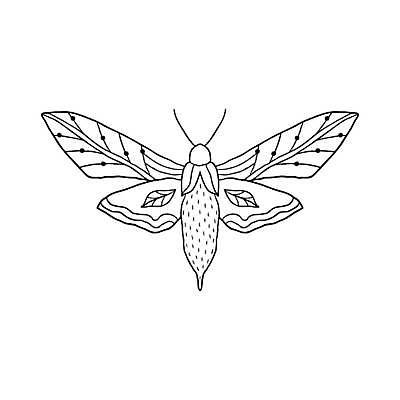 EPS 해외이미지 야생동물 나비 곤충 꽃무늬 절지류 일러스트 그래픽 장식 검은색 흰색 해충 낙서 인쇄 심볼 사인 그림 윤곽 나방 내추럴 엘리먼트 이국적 스타일 해외일러스트 동물 꽃 컬러 무늬 벌레 파일형식 벡터 이미지허브