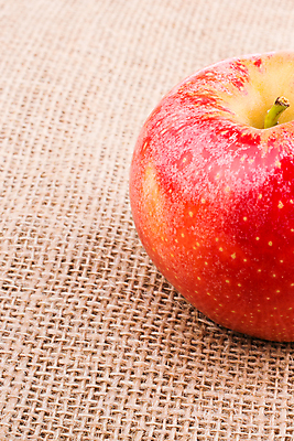 포토 JPG 해외이미지 과일 실내 사람없음 한개 사과 삼베 해외포토 1 내부 파일형식 천_직물 이미지허브