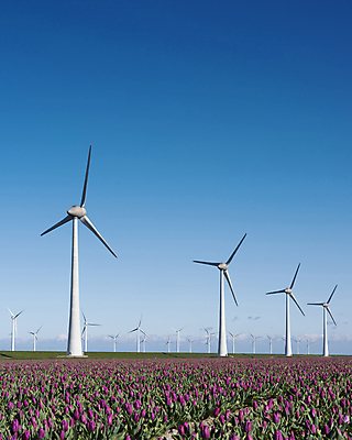 포토 JPG 해외이미지 주간 자연 하늘 사람없음 야외 봄 튤립 풍력에너지 해외포토 자연요소 계절 꽃 그린에너지 생태계 파일형식 이미지허브