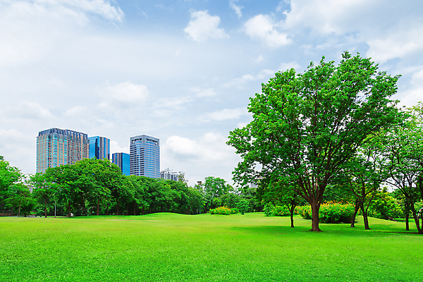 포토 JPG 해외이미지 나무 구름 공원 백그라운드 밭 건축양식 자연 하늘 풍경 잔디 초원 사람없음 야외 건물 초록색 여름 파란색 사무실 환경 정원 맑음 고층빌딩 봄 자유 도시 땅 방콕 지역 타운 해외포토 자연요소 식물 건축물 계절 공공시설 건축 컬러 컨셉 농업 비즈니스 태국 날씨 빌딩 생태계 파일형식 이미지허브