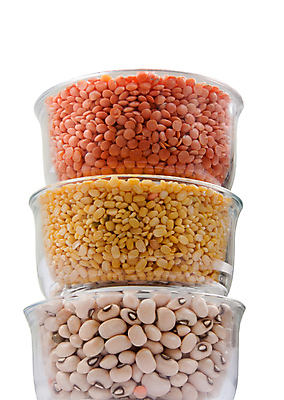 포토 JPG 해외이미지 콩 곡류 사람없음 쌓기 다양 담기 해외포토 다수 모션 파일형식 이미지허브