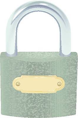 EPS 해외이미지 컨셉 일러스트 새로움 자물쇠 경비 안전 금속 힘 회색 닫기 보호 철 심볼 오브젝트 싱글 잠금 보안 고립 고체 진짜 철강 해외일러스트 컬러 모션 재질 파일형식 벡터 이미지허브