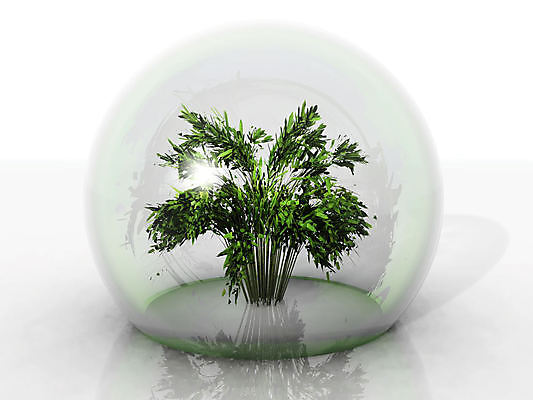 포토 JPG 해외이미지 식물 디자인 계절 문화 캠페인 단풍 잎 채소 자연 하늘 날씨 안전 사람없음 야외 초록색 파란색 반사 평화 환경 거품 거울 시골 시간 투명 고독 보호 위험 시원함 보안 장면 시트 생태학 해외포토 교육 감정 컬러 컨셉 생태계 파일형식 이미지허브