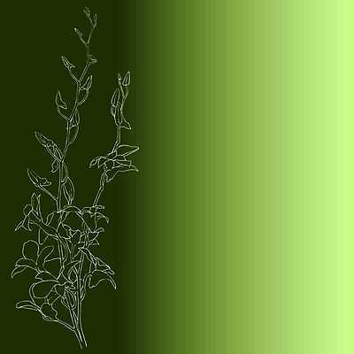 EPS 해외이미지 식물 손 기념일 꽃잎 꽃 실루엣 포스터 선 결혼 백그라운드 일러스트 자연 추상 휴가 광고판 취미 장식 정원 흰색 인사 신용카드 생일 맛 스케치 코스모스 초대 악취 구성 해외일러스트 컬러 컨셉 무늬 알림판 촬영기법 미술 이벤트 신체부위 금융 예절 생태계 냄새 판 파일형식 벡터 이미지허브