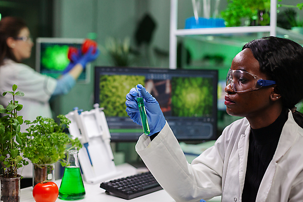 포토 JPG 해외이미지 식물 응시 여자 화분 과학 흑인 실내 실험기구 실험 들기 상반신 성인 두명 옆모습 아웃포커스 모니터 실험복 실험실 과학자 보안경 연구소 성인여자만 해외포토 서양인 직업 시선 뷰포인트 모션 촬영기법 사람 내부 컴퓨터 가운 안전장비 학자 여자만 성인만 파일형식 이미지허브