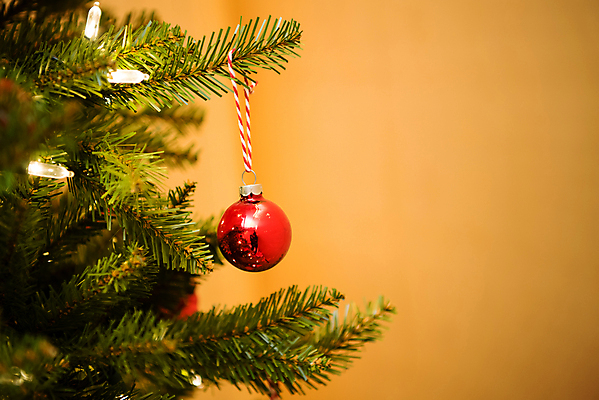 포토 JPG 해외이미지 나무 전통 디자인 계절 행복 백그라운드 잎 크리스마스 겨울 공 휴가 전등 새로움 매달리기 사람없음 장식 빨간색 초록색 빛 크리스마스트리 축제 기쁨 나뭇가지 축하 인사 소나무 바늘 신용카드 황금 12월 연도 향수 전나무 빛망울 광 여의주 해외포토 식물 기념일 감정 컬러 컨셉 모션 조명 금융 화장품 도구 예절 날짜 파일형식 이미지허브