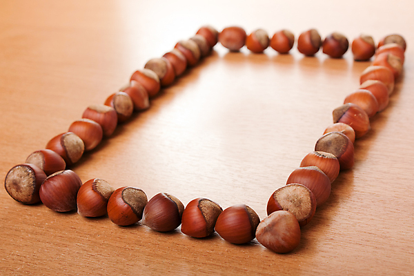 포토 JPG 해외이미지 실내 사람없음 견과류 직사각형 헤이즐넛 나무배경 해외포토 도형 백그라운드 내부 파일형식 이미지허브