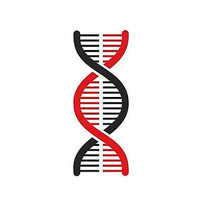 EPS 해외이미지 디자인 실루엣 선 과학 백그라운드 컨셉 곡선 신체 일러스트 자연 나선형 건강 사람 그래픽 약 검은색 웹 흰색 원형 진화 암호 DNA 생명공학 심볼 사인 생물학 심플 염색체 고립 복제 엘리먼트 유전 해외일러스트 도형 교육 컬러 무늬 인터넷 의학 촬영기법 소방 생태계 파일형식 벡터 이미지허브