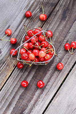 포토 JPG 해외이미지 열매 음식 백그라운드 잎 농업 다이어트 과일 재료 자연 탁자 디저트 건강 사람없음 야외 목재 빨간색 초록색 여름 갈색 바구니 정원 시골 신선 체리 사발 달콤 맛 먹기 상쾌 유기농 날것 비타민 흙더미 내추럴 숙성 옛날 채식주의자 맛있는 해외포토 나무 식물 웰빙 계절 감정 산업 컬러 가구 컨셉 모션 흙 사기그릇 생태계 채식 영양소 파일형식 더미 이미지허브