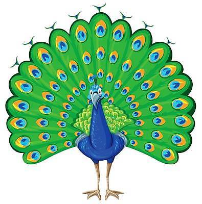 EPS 해외이미지 클립아트 동물 캐릭터 길 야생동물 백그라운드 날개 일러스트 포유류 자연 조류 생물 미술 그래픽 컬러풀 흰색 공작 자르기 깃털 오브젝트 그림 클립 리빙 고립 이국적 해외일러스트 일러캐릭터 컬러 모션 문화예술 생태계 파일형식 벡터 이미지허브