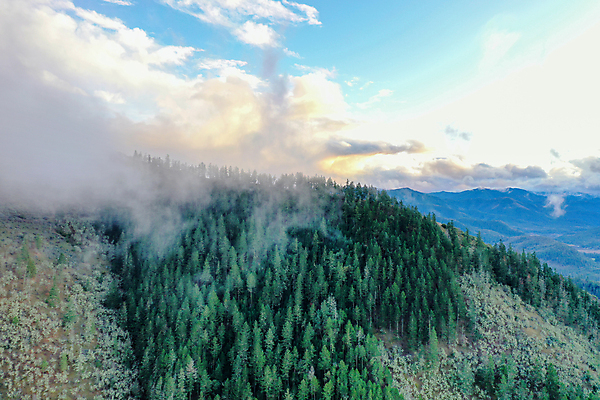 포토 JPG 해외이미지 나무 구름 계절 공원 백그라운드 잎 자연 하늘 날씨 휴가 산 안테나 파노라마 풍경 사람없음 야외 초록색 햇빛 뷰티 미국 추위 안개 시골 소나무 숲 언덕 스카이라인 내추럴 조감도 해외포토 자연요소 식물 공공시설 컬러 북아메리카 통신 촬영기법 태양 생태계 파일형식 이미지허브