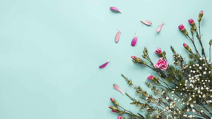 포토 JPG 해외이미지 꽃잎 꽃 실내 사람없음 하이앵글 파란배경 카피스페이스 해외포토 식물 뷰포인트 백그라운드 내부 파란색 공백 파일형식 이미지허브