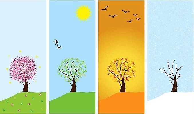 EPS 해외이미지 나무 식물 계절 꽃 행복 지구 줄기 분홍색 잎 겨울 오렌지 과일 일러스트 자연 빨간색 초록색 여름 세트 노란색 환경 정원 희망 봄 추위 수확 성장 벚꽃 가을 흰색 나뭇가지 오픈 눈송이 사과 숲 연도 원뿔 고립 땅바닥 엘리먼트 해외일러스트 도형 감정 컬러 농업 바닥 눈_날씨 생태계 파일형식 벡터 이미지허브