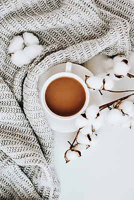 포토 JPG 해외이미지 커피 실내 사람없음 하이앵글 스웨터 오브젝트 니트 흰배경 목화꽃 목화솜 해외포토 꽃 음료 뷰포인트 백그라운드 상의 내부 흰색 솜 파일형식 이미지허브