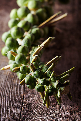 포토 JPG 해외이미지 식물 잡화 계절 음식 줄기 백그라운드 농업 채소 추상 건강 요리 사람없음 목재 초록색 머리 새싹 수확 가을 시장 널 척추 유기농 양배추 날것 브뤼셀 해외포토 나무 웰빙 산업 컬러 무늬 재료 뼈 신체부위 파일형식 이미지허브