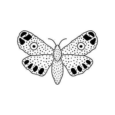 EPS 해외이미지 야생동물 나비 곤충 꽃무늬 절지류 일러스트 그래픽 장식 검은색 흰색 해충 낙서 인쇄 심볼 사인 그림 윤곽 나방 내추럴 엘리먼트 이국적 스타일 해외일러스트 동물 꽃 컬러 무늬 벌레 파일형식 벡터 이미지허브