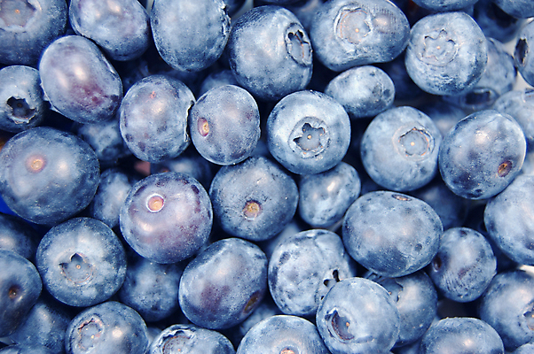 포토 JPG 해외이미지 실내 근접촬영 사람없음 파란색 하이앵글 신선 달콤 가득함 블루베리 해외포토 뷰포인트 컬러 과일 내부 맛 파일형식 이미지허브