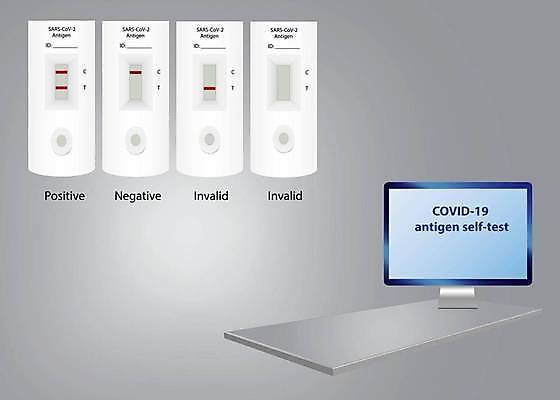 EPS 해외이미지 템플릿 백그라운드 컨셉 일러스트 텍스트 통신 탁자 추상 건강 안전 약 스크린 웹 인포그래픽 회색 정보 발표 바이러스 선택 질병 책상 속도 보고서 옵션 레이아웃 예방 감염 인플루엔자 전염병 해외일러스트 컬러 가구 무늬 인터넷 의학 파일형식 벡터 이미지허브